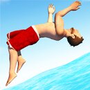 Flip Diving v3.9.00 [MOD, Unlimited money]