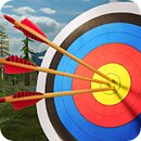 Archery Master 3D v3.7 [MOD, Unlimited Coins]