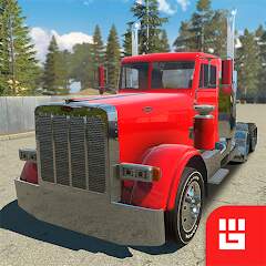 Truck Simulator PRO USA v1.25 [MOD, много денег]